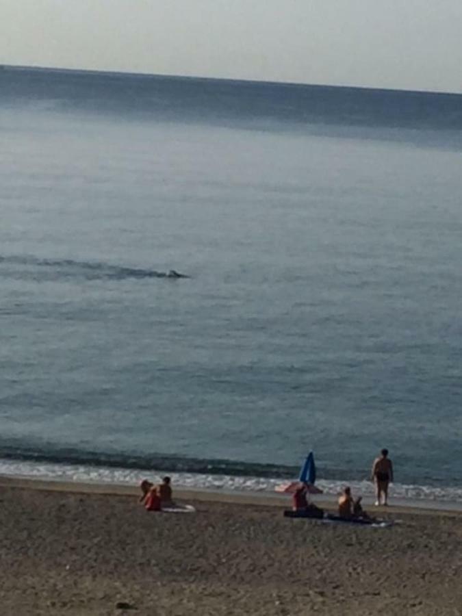 Sabrina'S Relax Fra Mare E Storia Daire Savona Dış mekan fotoğraf